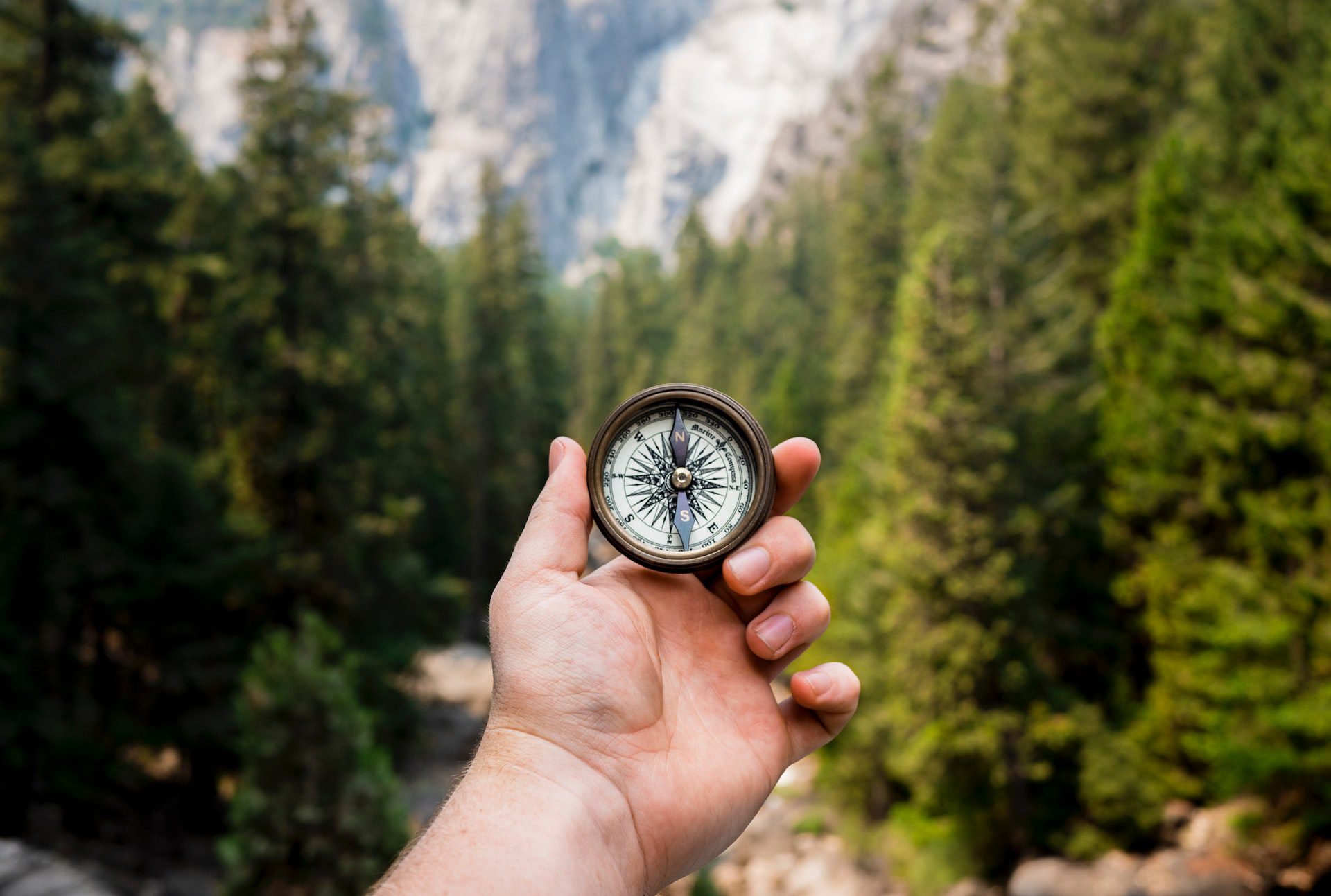 Handheld compass in forest.