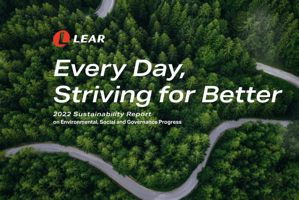 Aerial view of forest road.