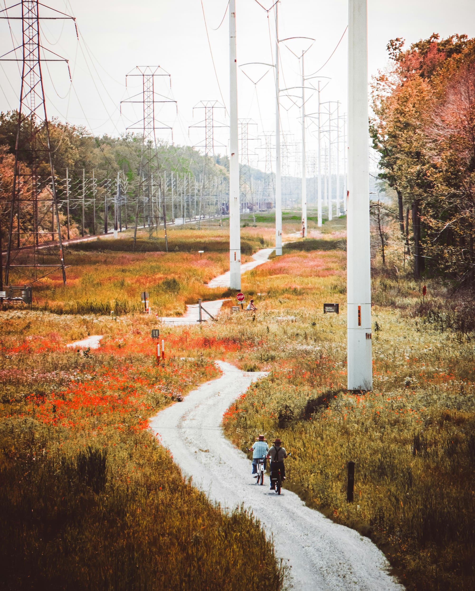 Two people ride bicycles down a path lined with trees in fall colors and power transmission towers overhead.