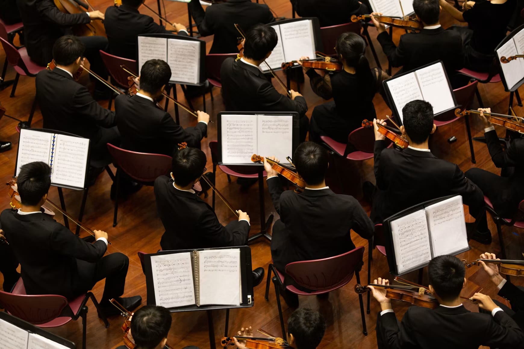 Musicians performing in a symphony orchestra. The perspective from behind the string section shows them following a written score.
